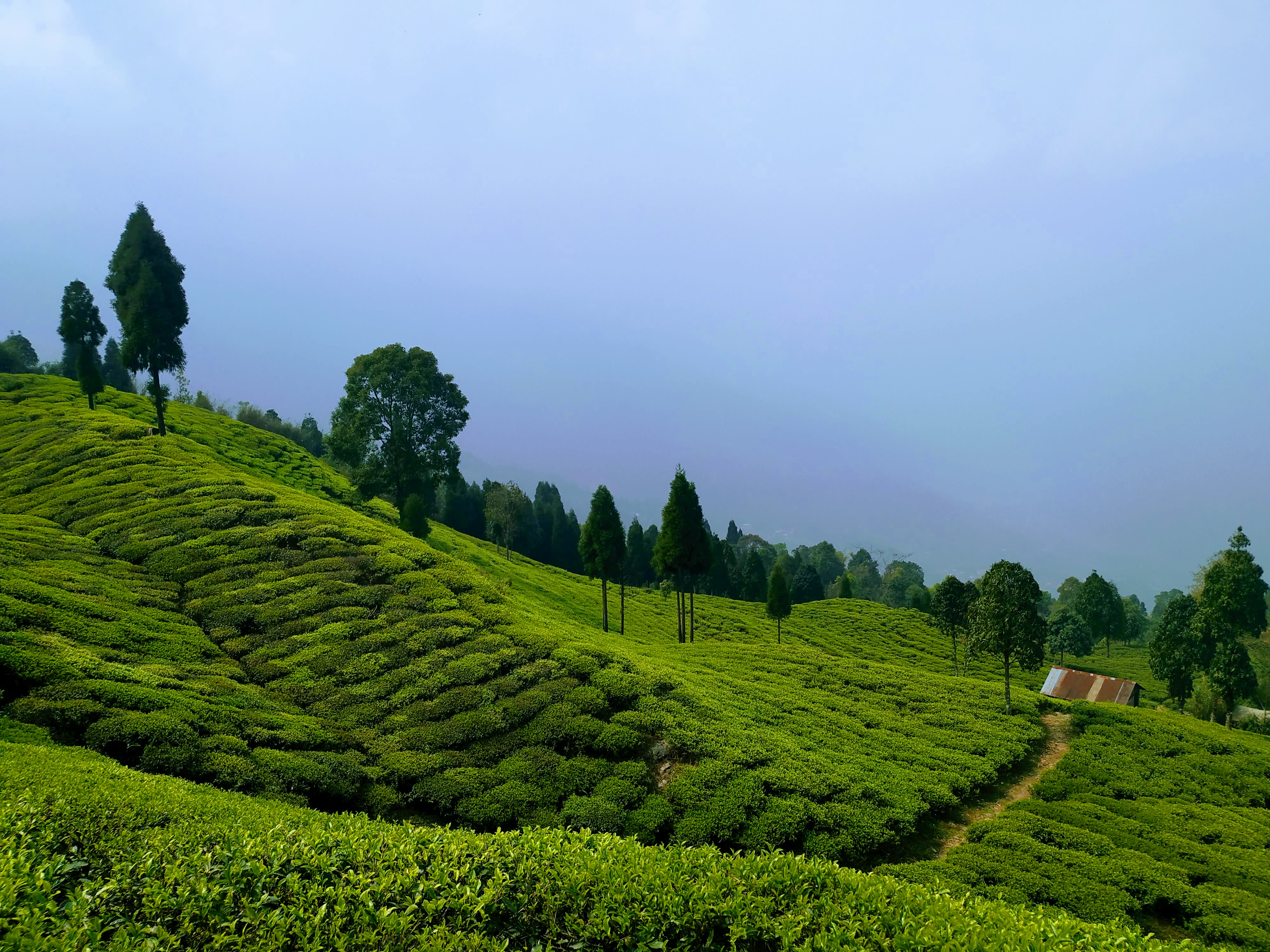 featured place